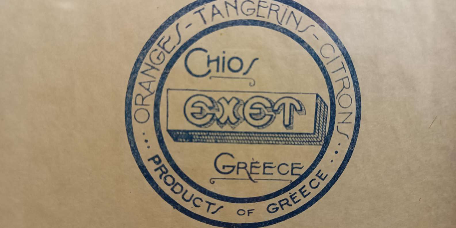 Chios: Excursion & tasting in an orange grove - Image 11