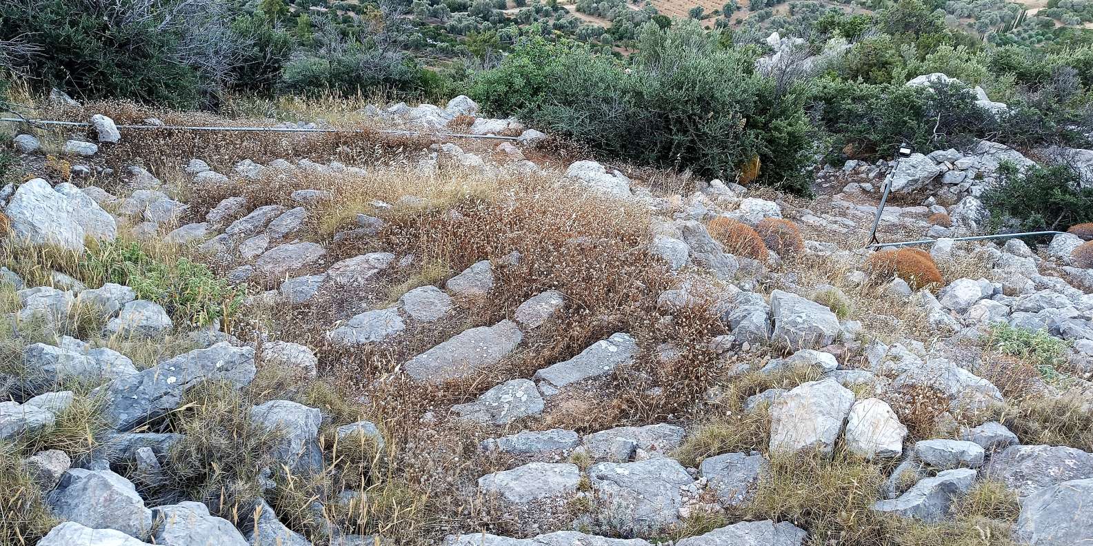 Chios: Armolia Castle Hiking - Image 13