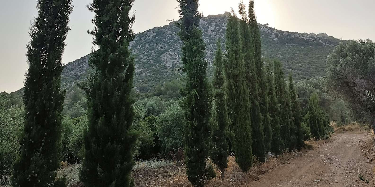 Chios: Armolia Castle Hiking - Image 14