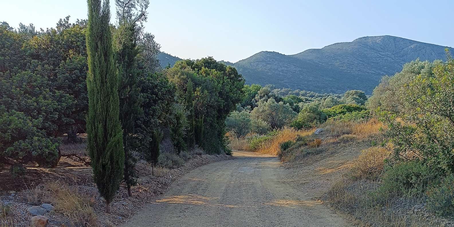 Chios: Armolia Castle Hiking - Image 8