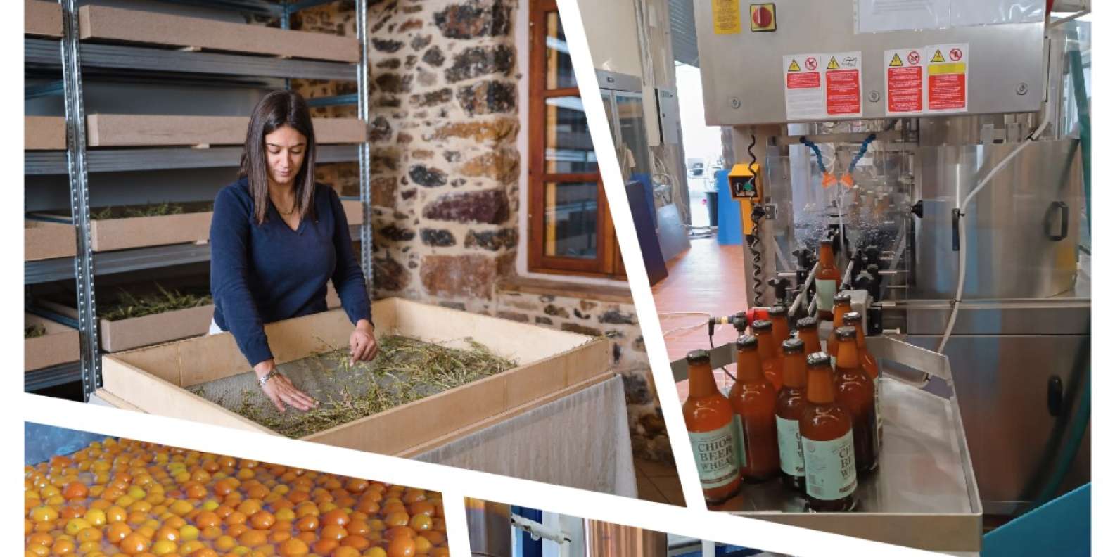 Chios: Experience & tasting of local products - Image 15