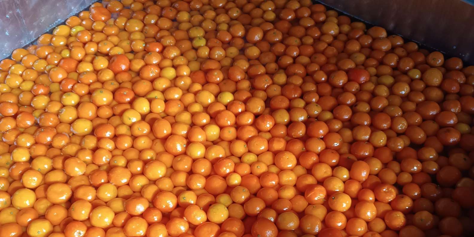 Chios: Experience & tasting of local products - Image 6