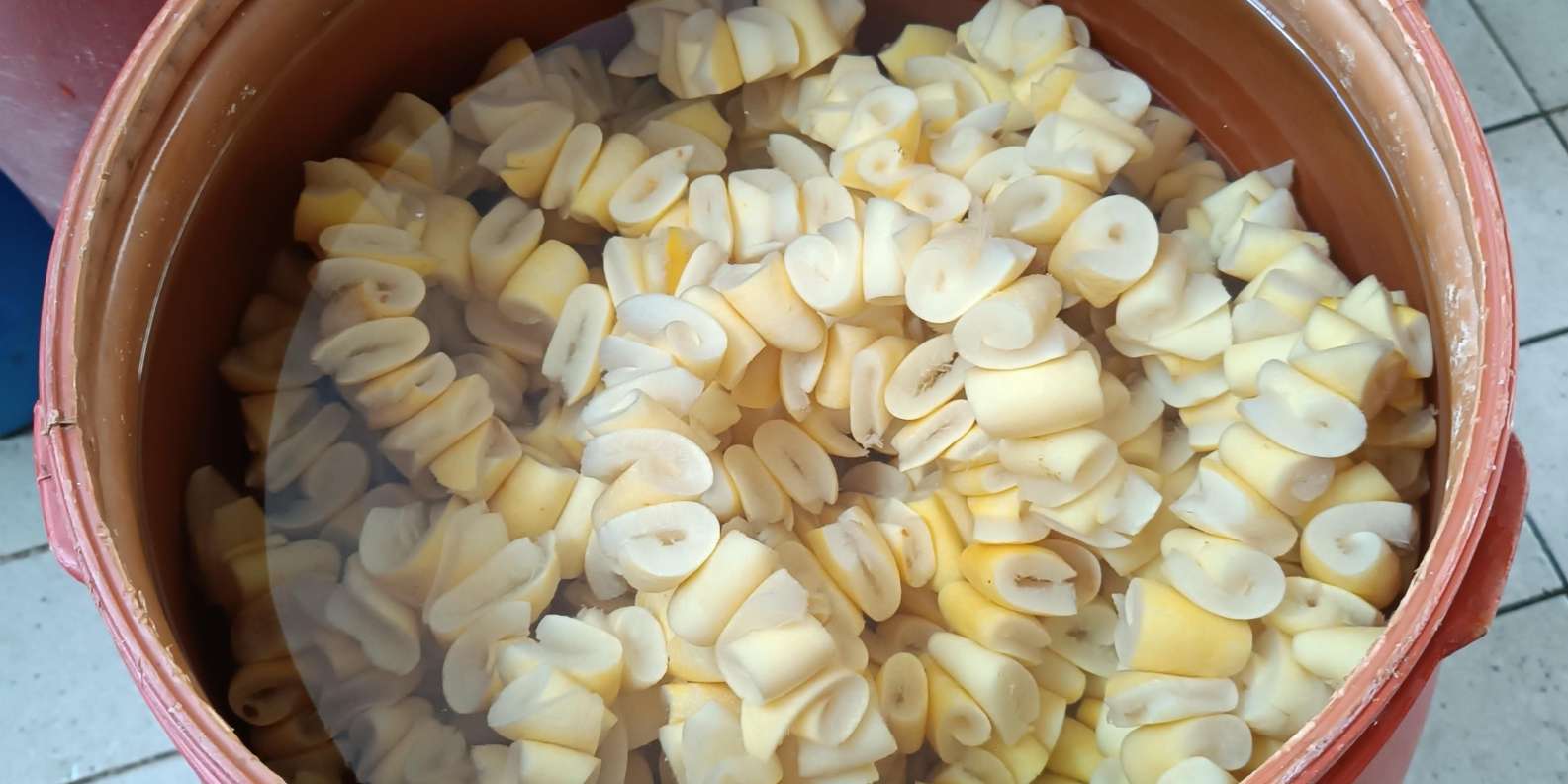 Chios: Experience & tasting of local products - Image 7