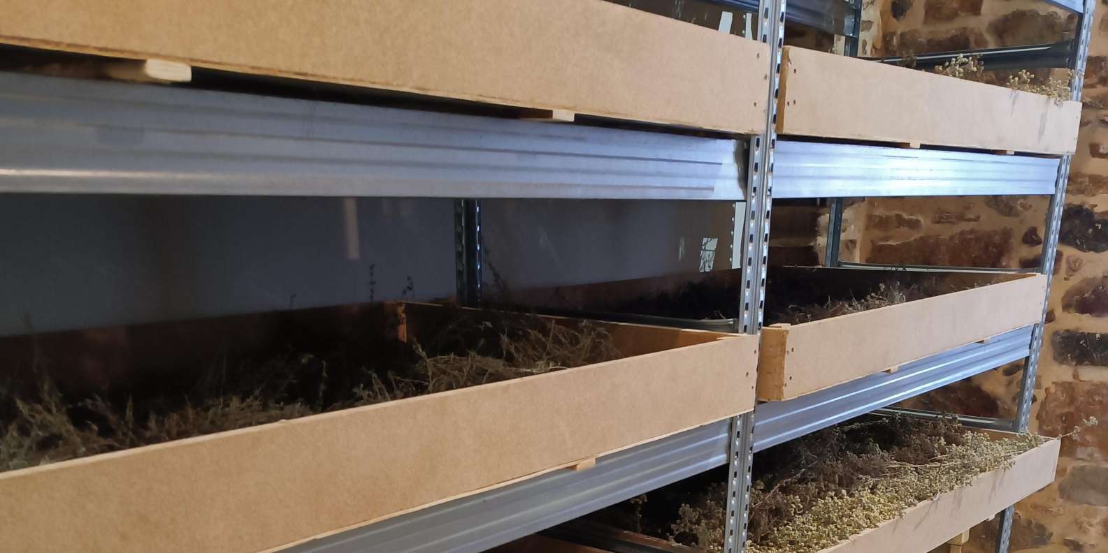 Chios: Experience & tasting of local products - Image 11