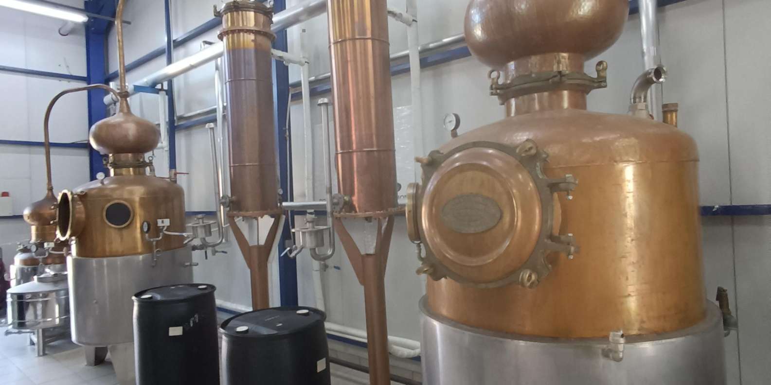 Chios: Experience & tasting of local products - Image 18