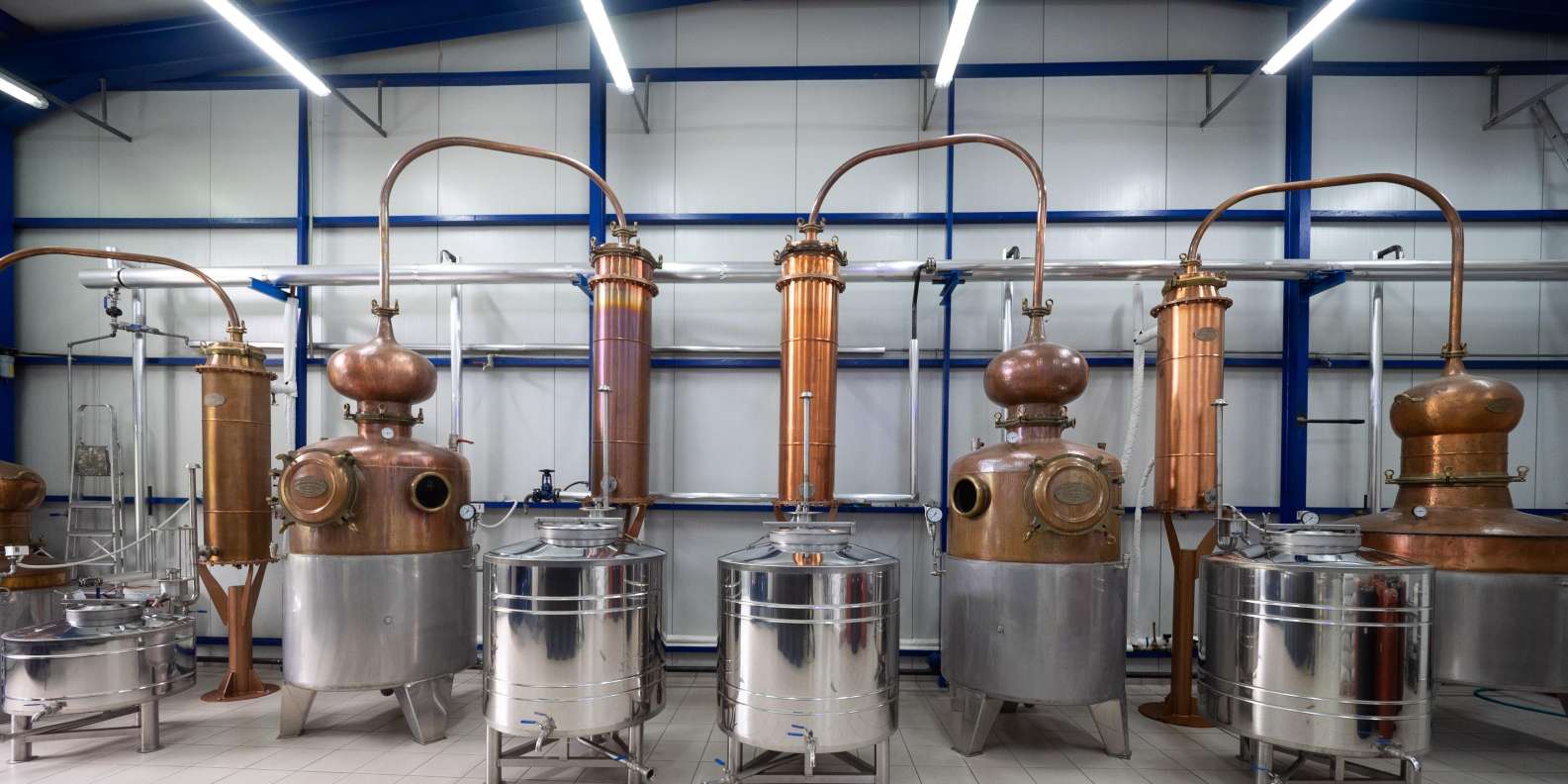 Chios: Experience & tasting of local products - Image 19