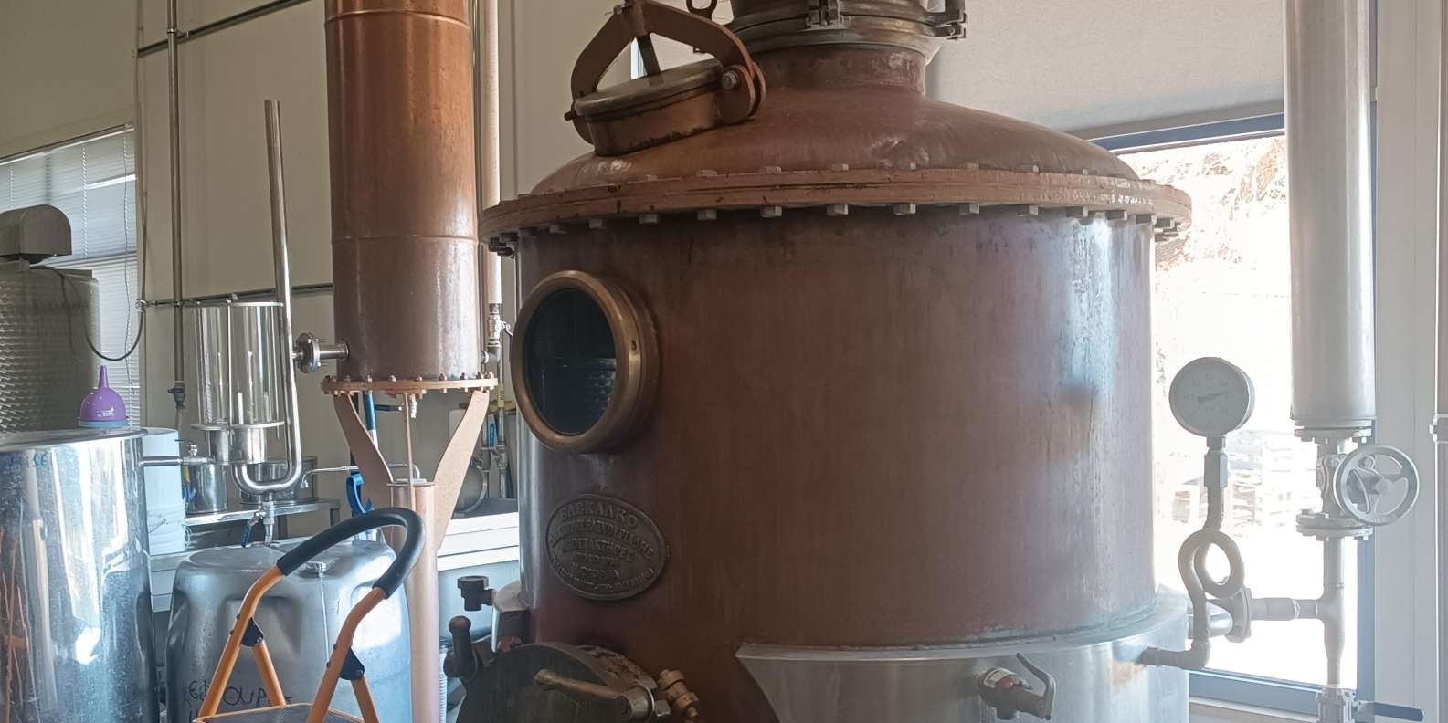 Chios: Experience & tasting of local products - Image 3