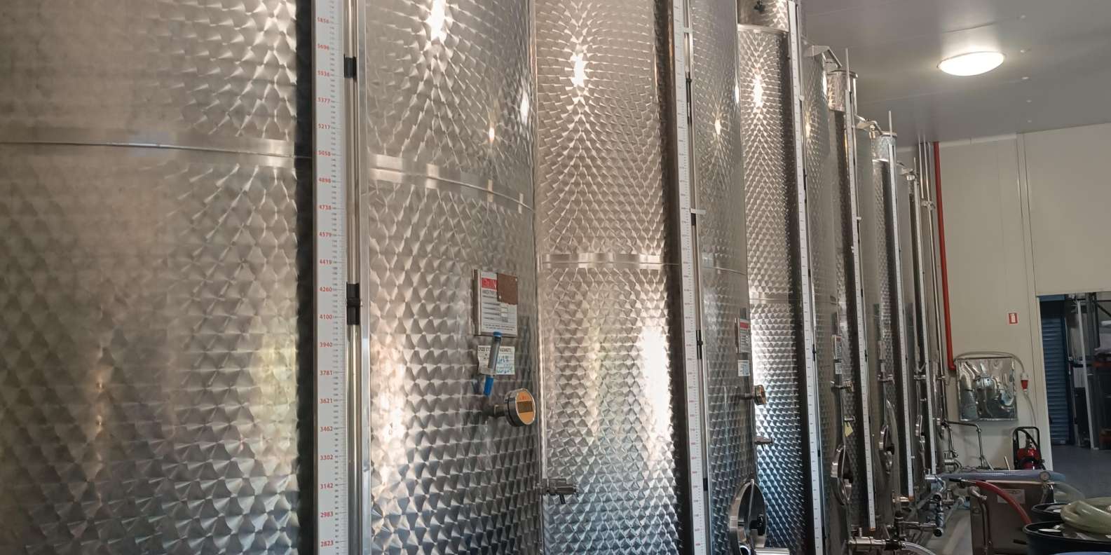 Chios: Experience & tasting of local products - Image 4